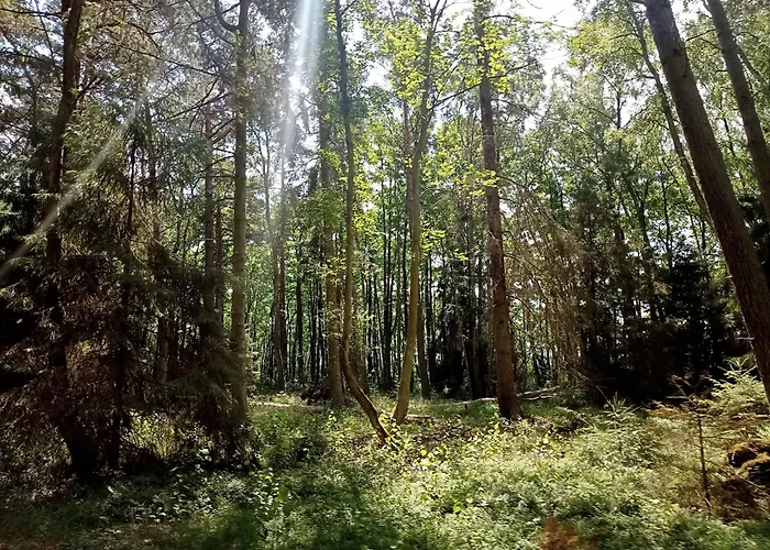 ゲストハウス Zloto Baltyku