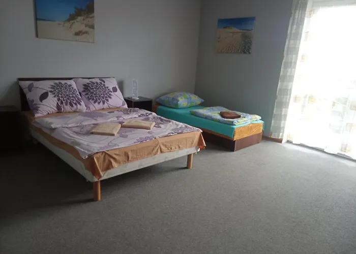 Zloto Baltyku ウェバ